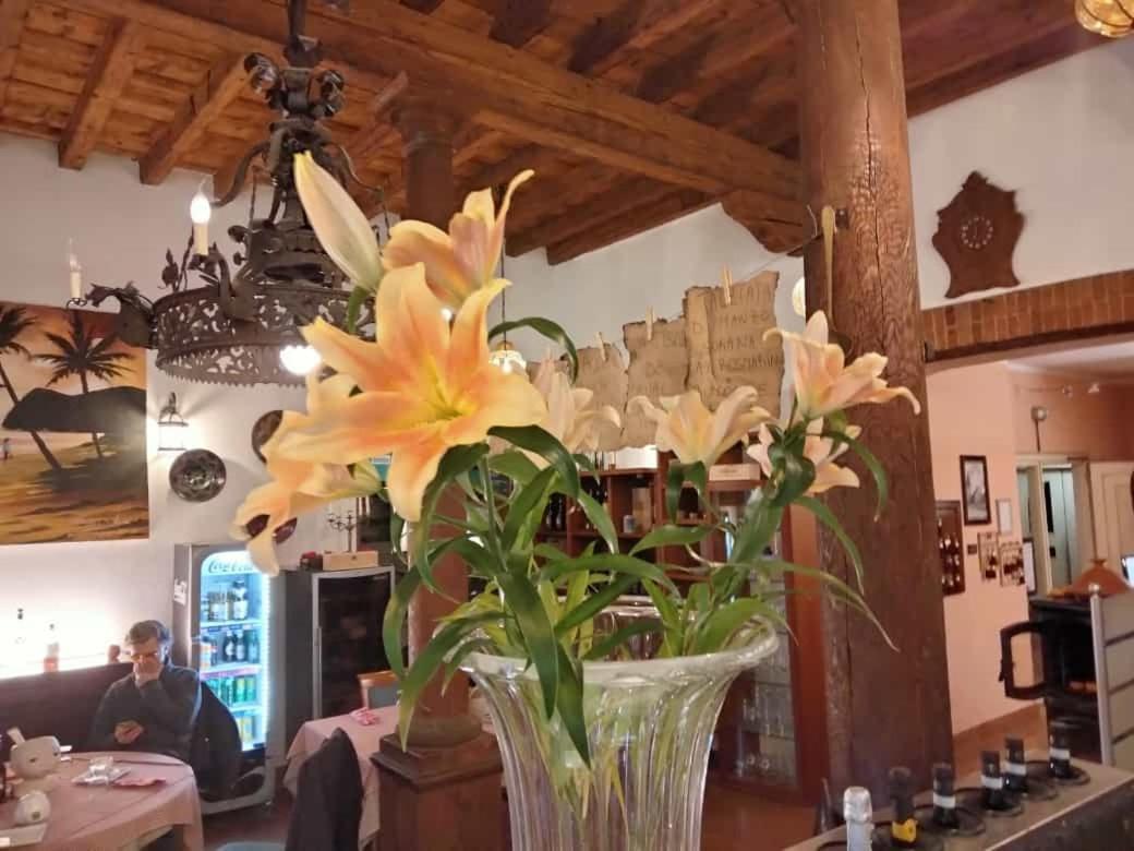 度可鲁尼酒店 圣博尼法乔 外观 照片
