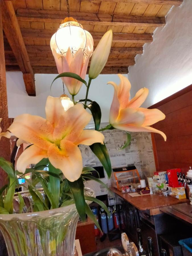 度可鲁尼酒店 圣博尼法乔 外观 照片